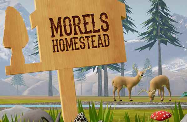 《农场家园》Morels: Homestead