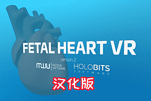 《心脏病医学VR汉化版》Fetal Heart VR