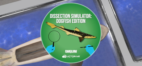 《解剖模拟器 鲨鱼》Dissection Simulator: Shark Edition VR