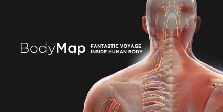 《解剖学和医学教育》BodyMap for Anatomy and Medical Education