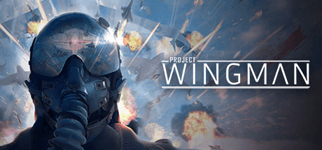 翼人计划VR（Project Wingman）