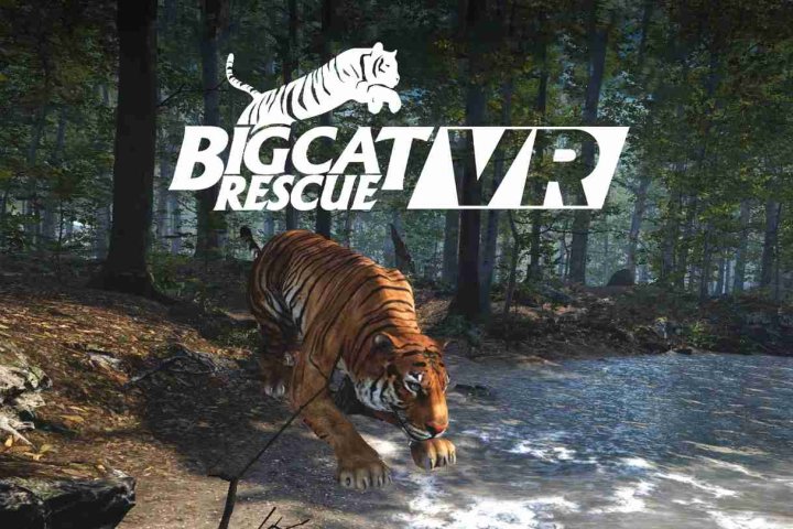 《大型猫科动物》Big Cat Rescue