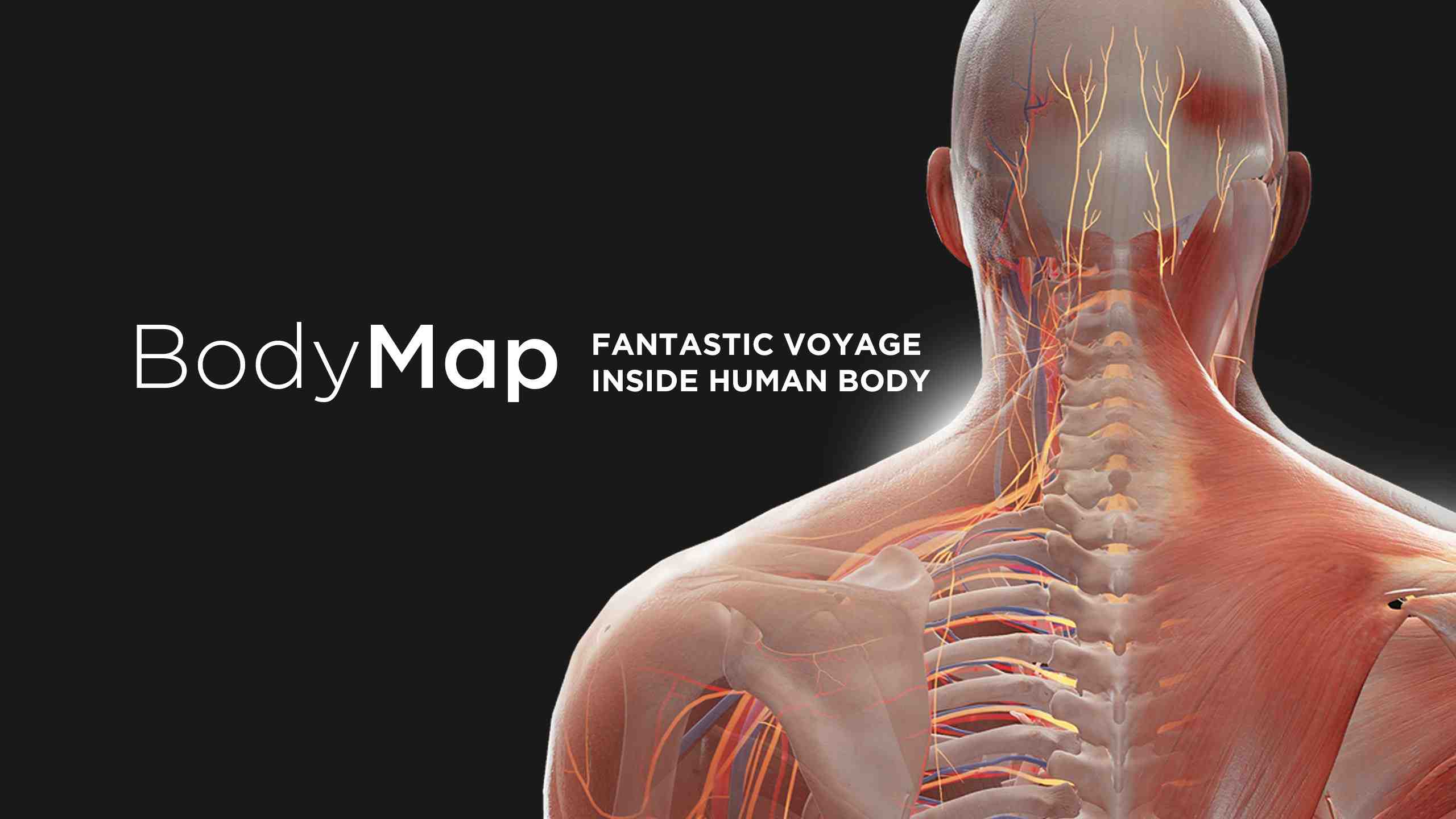 Oculus Quest 游戏《解剖学和医学教育》BodyMap for Anatomy and Medical Education