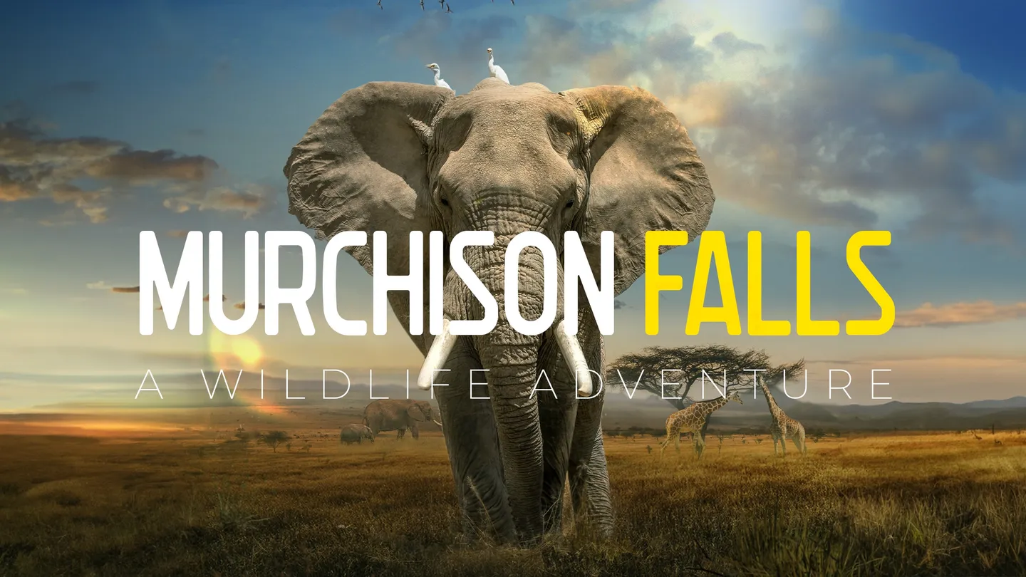 Meta Quest 游戏《野生动物探险之旅》Murchison Falls: The Awarded Wildlife Adventure with Elephants, Lions and Hyenas