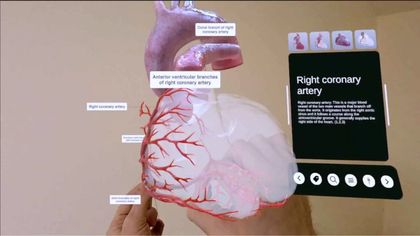 《XR 心脏解剖》XR Heart Anatomy