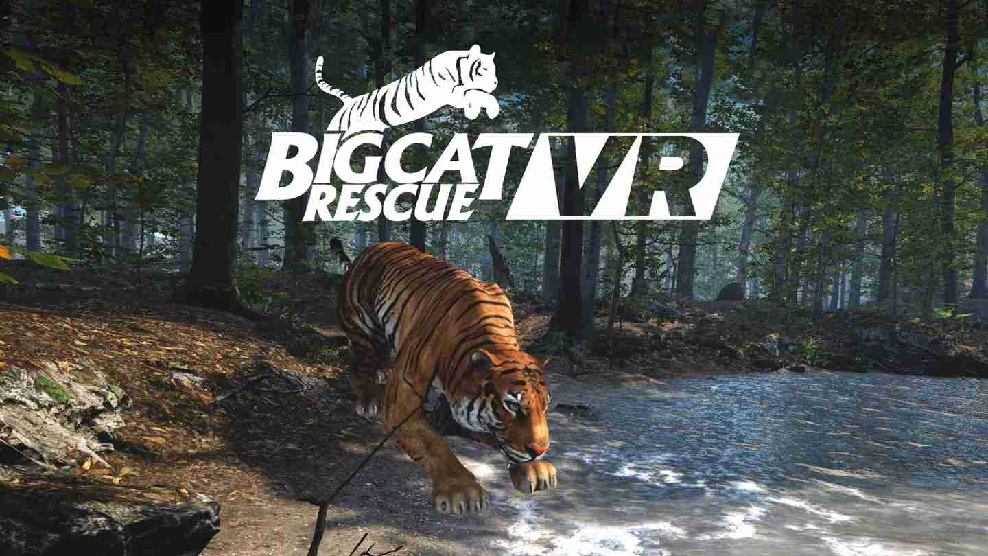 Meta Quest 游戏《大型猫科动物》Big Cat Rescue