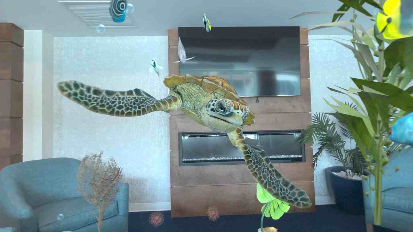 Oculus Quest 游戏《水族馆探险》Aquarium Adventures
