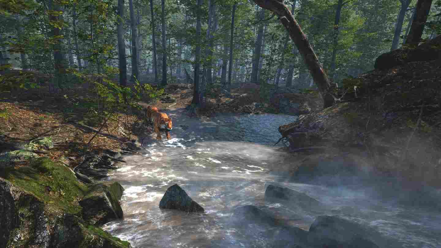 Meta Quest 游戏《大型猫科动物》Big Cat Rescue