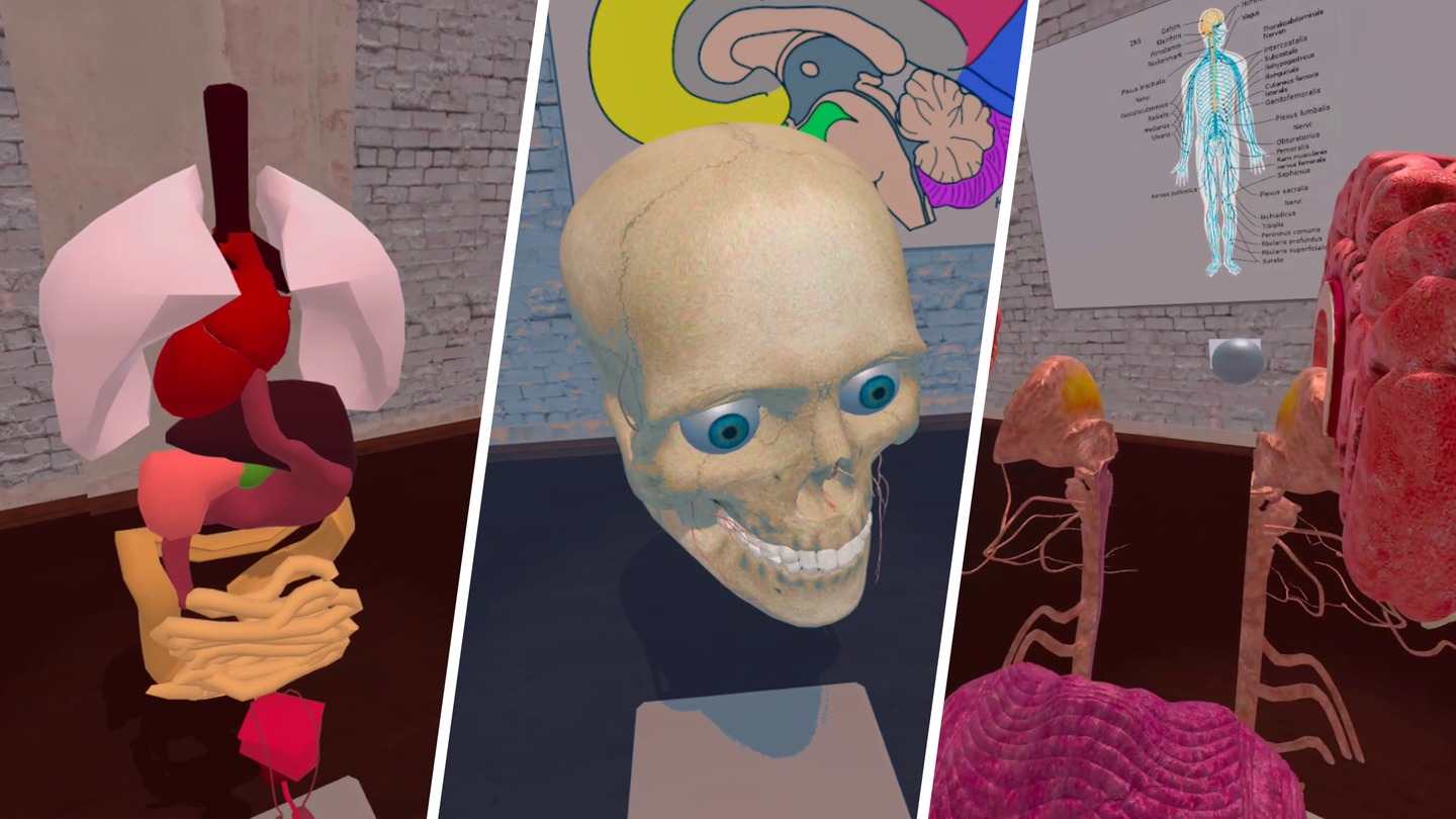 Oculus Quest 游戏《解剖实验室》VR Anatomy Lab