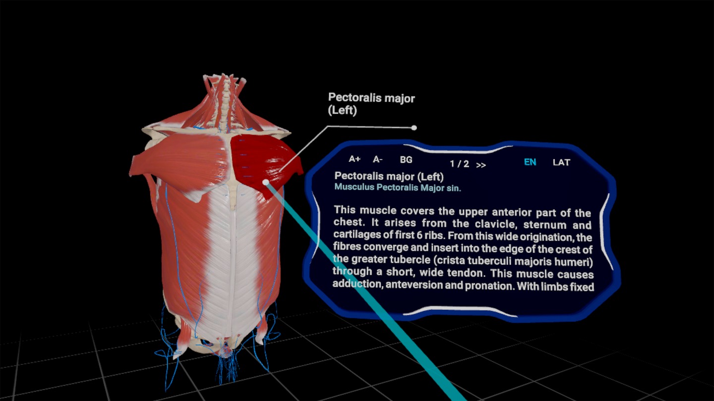 《高中解剖学 VR》High School Anatomy for Quest