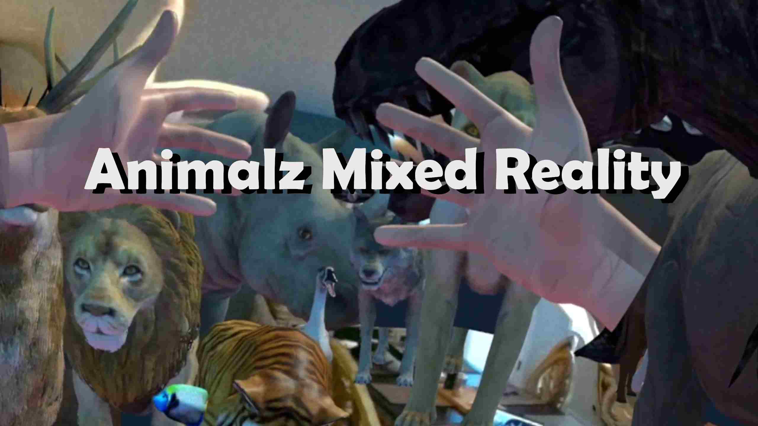 Oculus Quest 游戏《动物混合现实》Animalz Mixed Reality