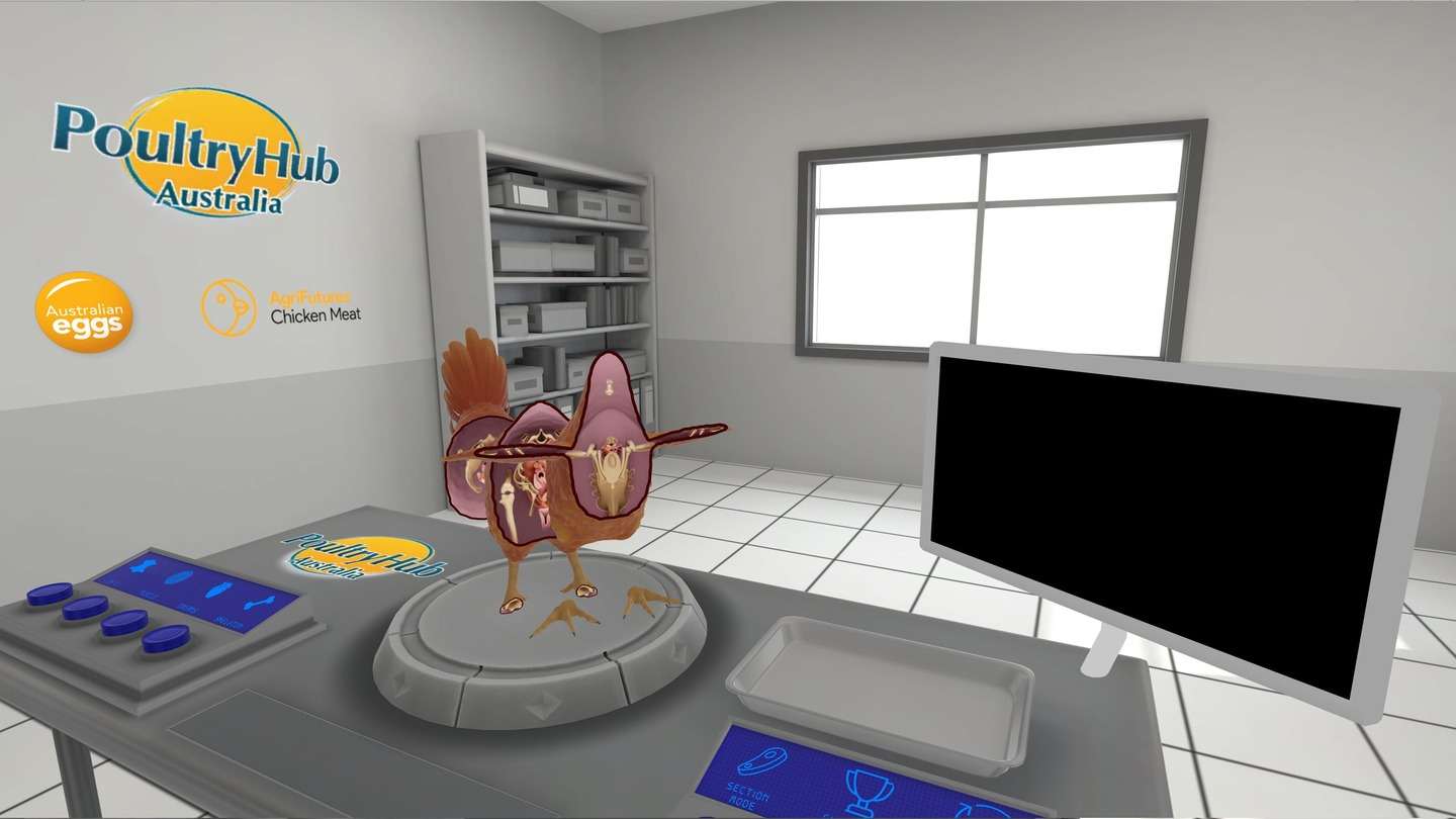 Oculus Quest 游戏《小鸡的解剖》Anatomy of a Chicken