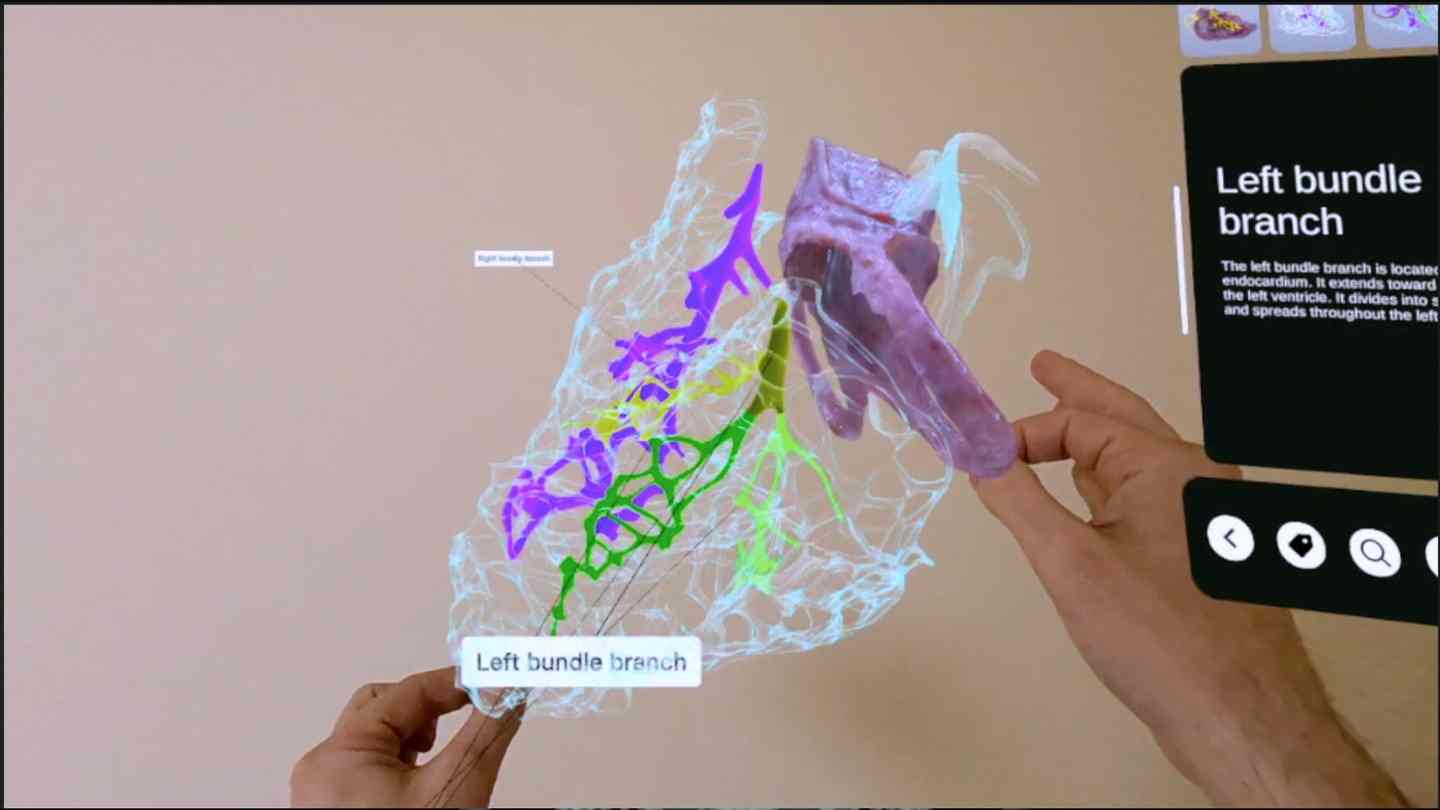 Oculus Quest 游戏《XR 心脏解剖》XR Heart Anatomy