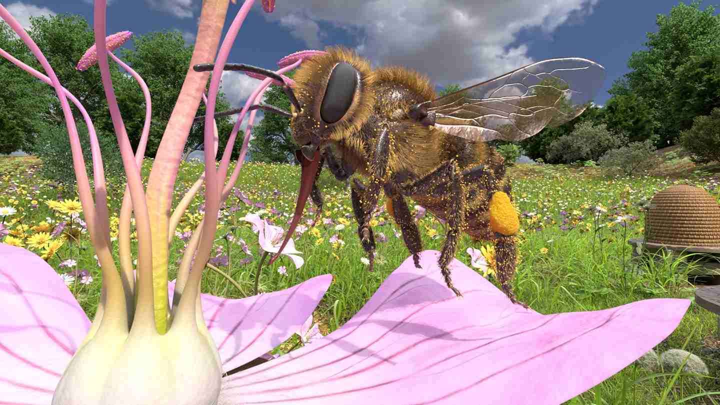 Oculus Quest 游戏《蜜蜂VR》Honeybee VR