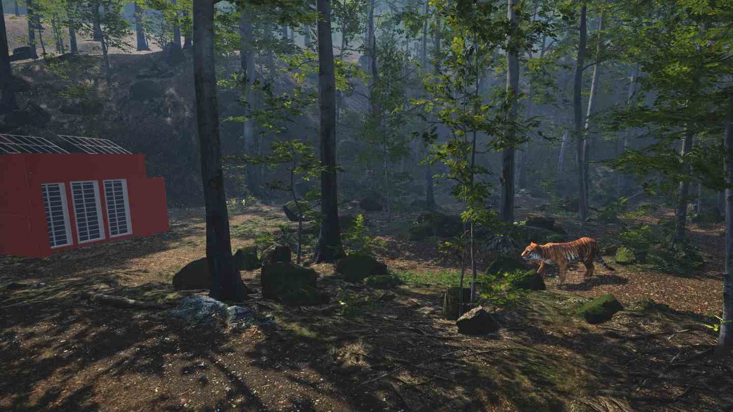 Meta Quest 游戏《大型猫科动物》Big Cat Rescue