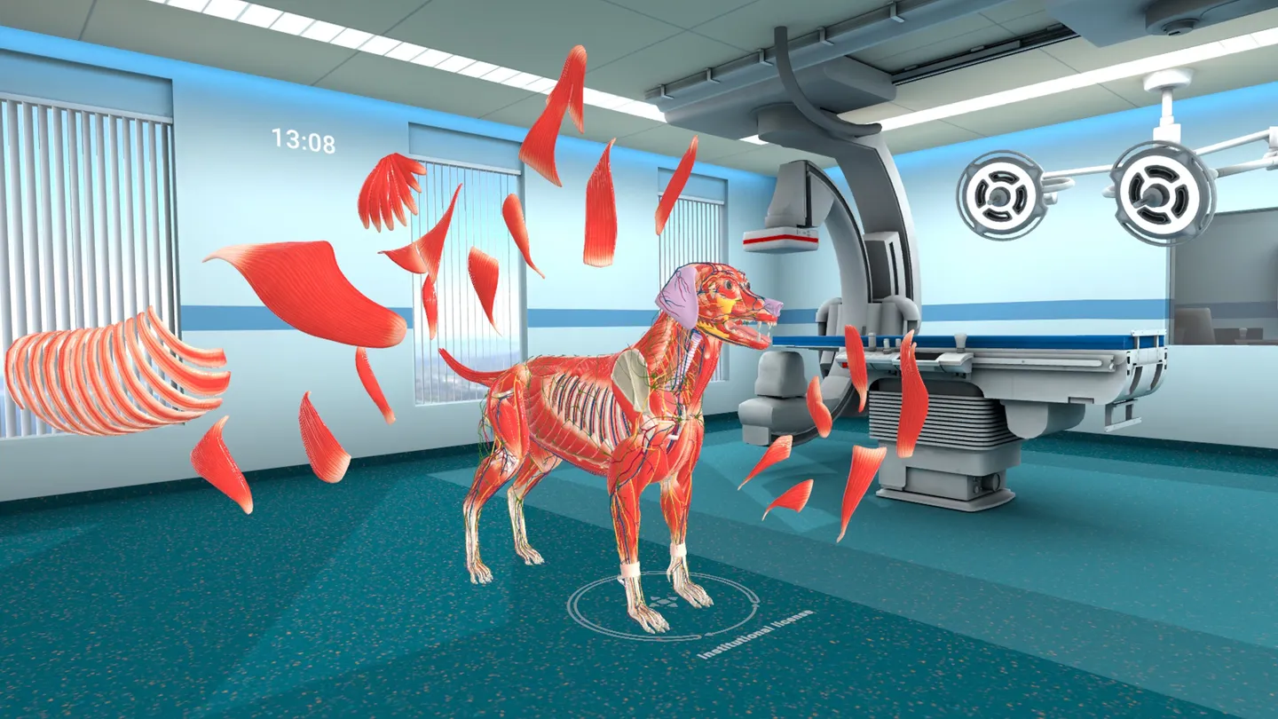 Meta Quest 游戏《动物解剖学XR》Animal Anatomy XR