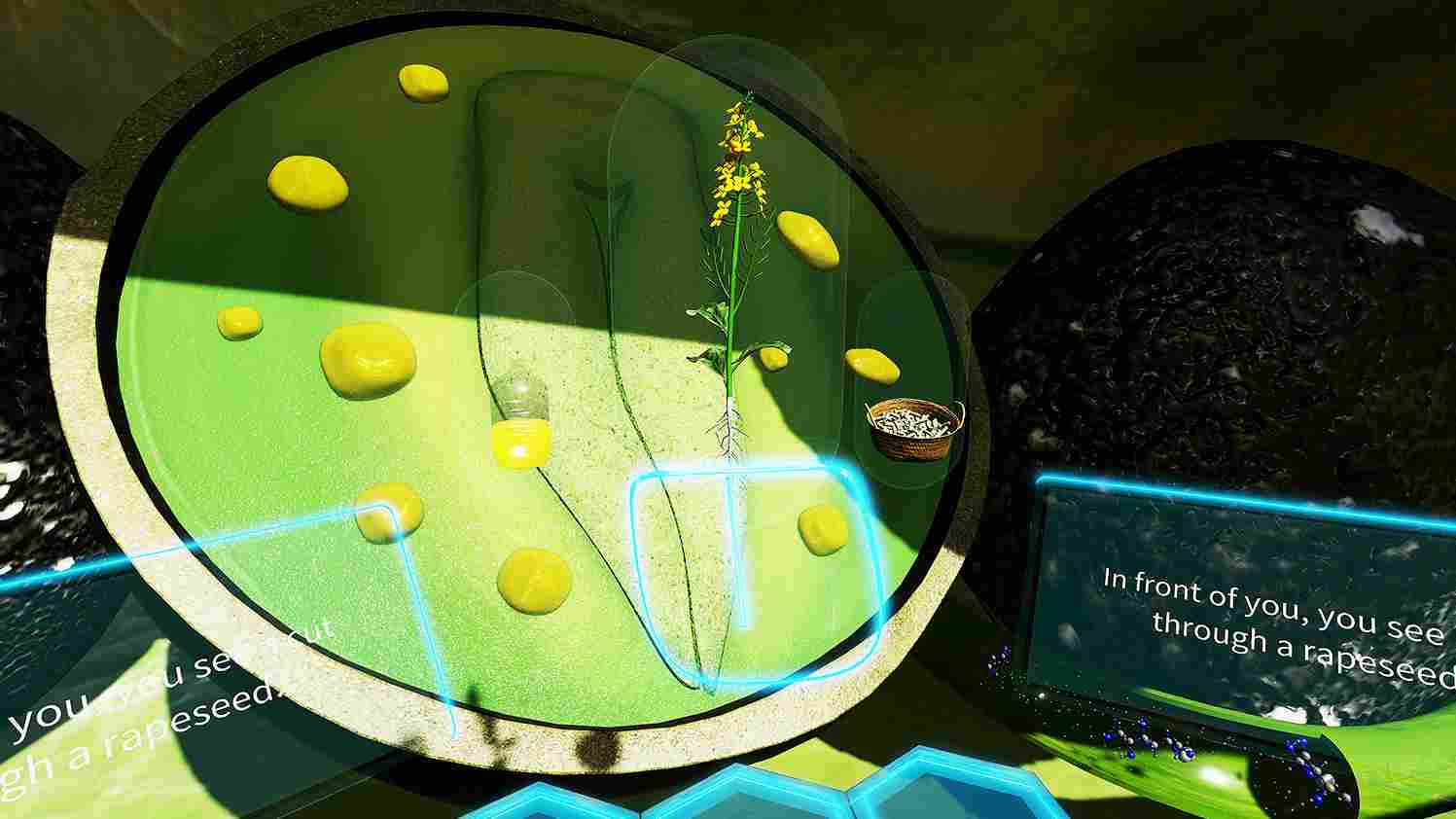 Meta Quest 游戏《VR植物之旅》VR Plant Journey